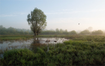 In der Stille des Morgens / ***