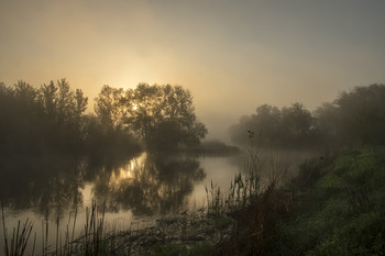 Morgendämmerung / ***