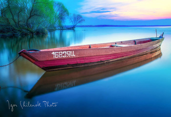 Reflection / ***