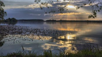 Abend / ***