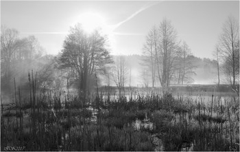 Die Frühlingssonne / ***