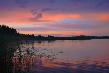 Sunset / ***