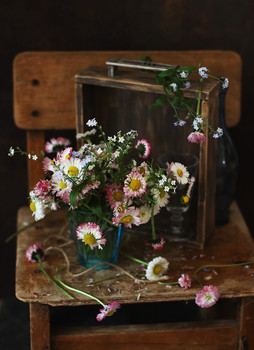 ,,,,,, / ..................................