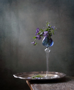 Immergrün / ***