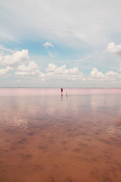 Pink Miracle / ***