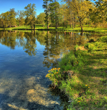 in the park / ***