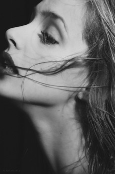 Alexander Krivitskiy / ***