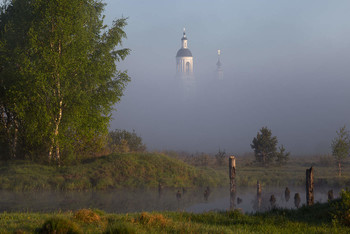 Nebliger Morgen / ***