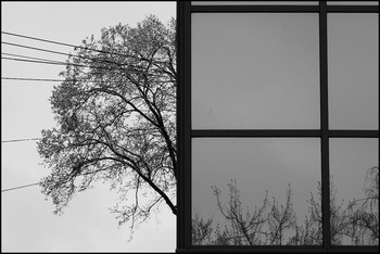 Verstecken spielen / *-*