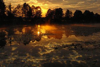 Morgendämmerung / ***
