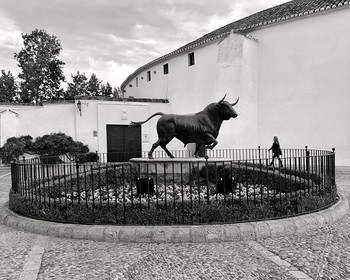 in move / Ronda, Spain