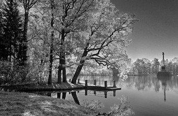 Morgen / ***