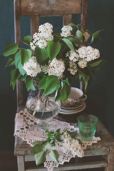 &nbsp; / ......................