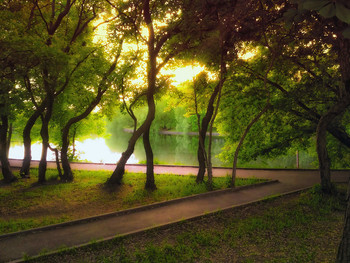 Sunset on the pond / ***