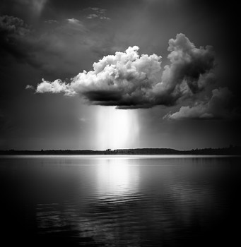 Purification / ***