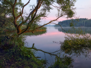 Morgen am See / ***