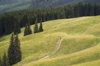 der Weg nach Hause / ***