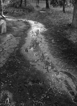 Rain... / ***
