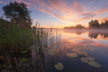 es gibt nur einen Augenblick / ***