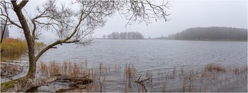 Misty autumn / ***