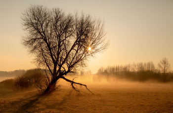 Der Geruch des Herbstes / ....