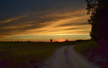 Road / ***
