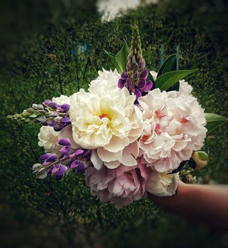 Bouquet / ***