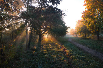Die Strahlen der Herbst / ***