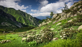 In den Bergen des Kaukasus / ***