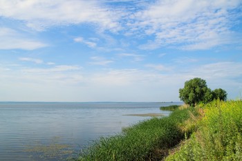 Sommerlandschaft / ***