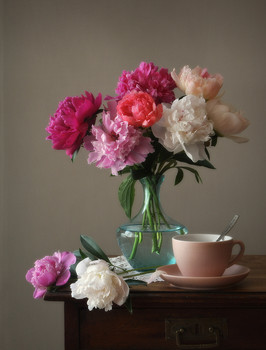 Peonies / 2019