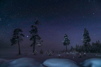 Starlight night / -38