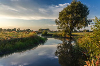 Morgen Stille / ***