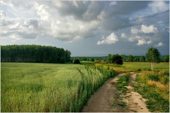 Freiflächen / ***