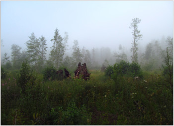 Morning silence / ***