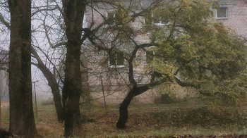 Morgen Stille / ...