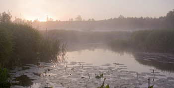 Morning silence / ***