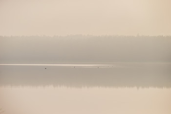Morning silence / ***