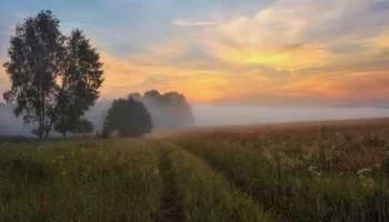Morning silence / ***