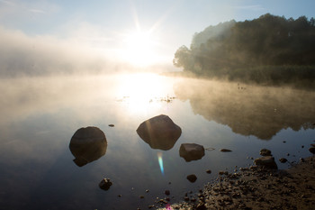Morning silence / ***