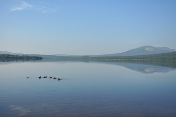 Morning silence / ***