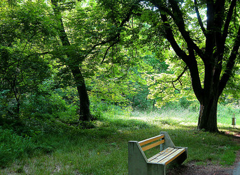 in the park / ***