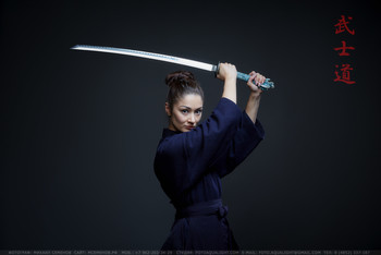 BUSHIDO / ***
