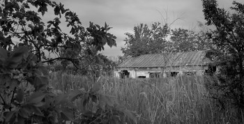 Mein Haus / ***