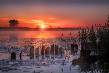 red sunset / ***