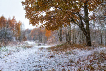 Der erste Schnee / ***