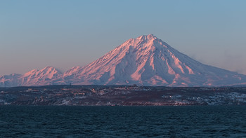pink mount / ***