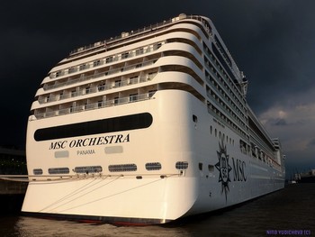 MSC ORCHESTRA / ***
