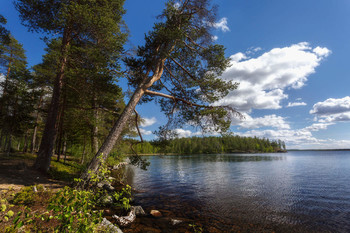 *** Karelia / ***