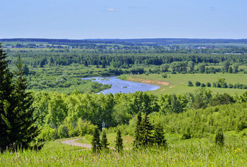 Summer landscape / ***